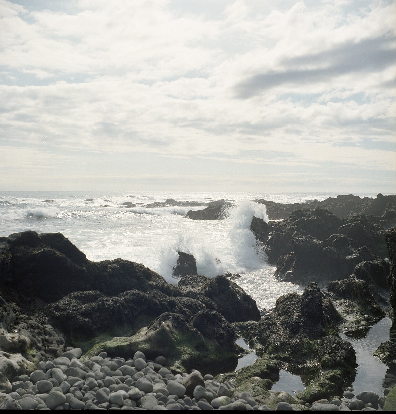 Scan042.jpg