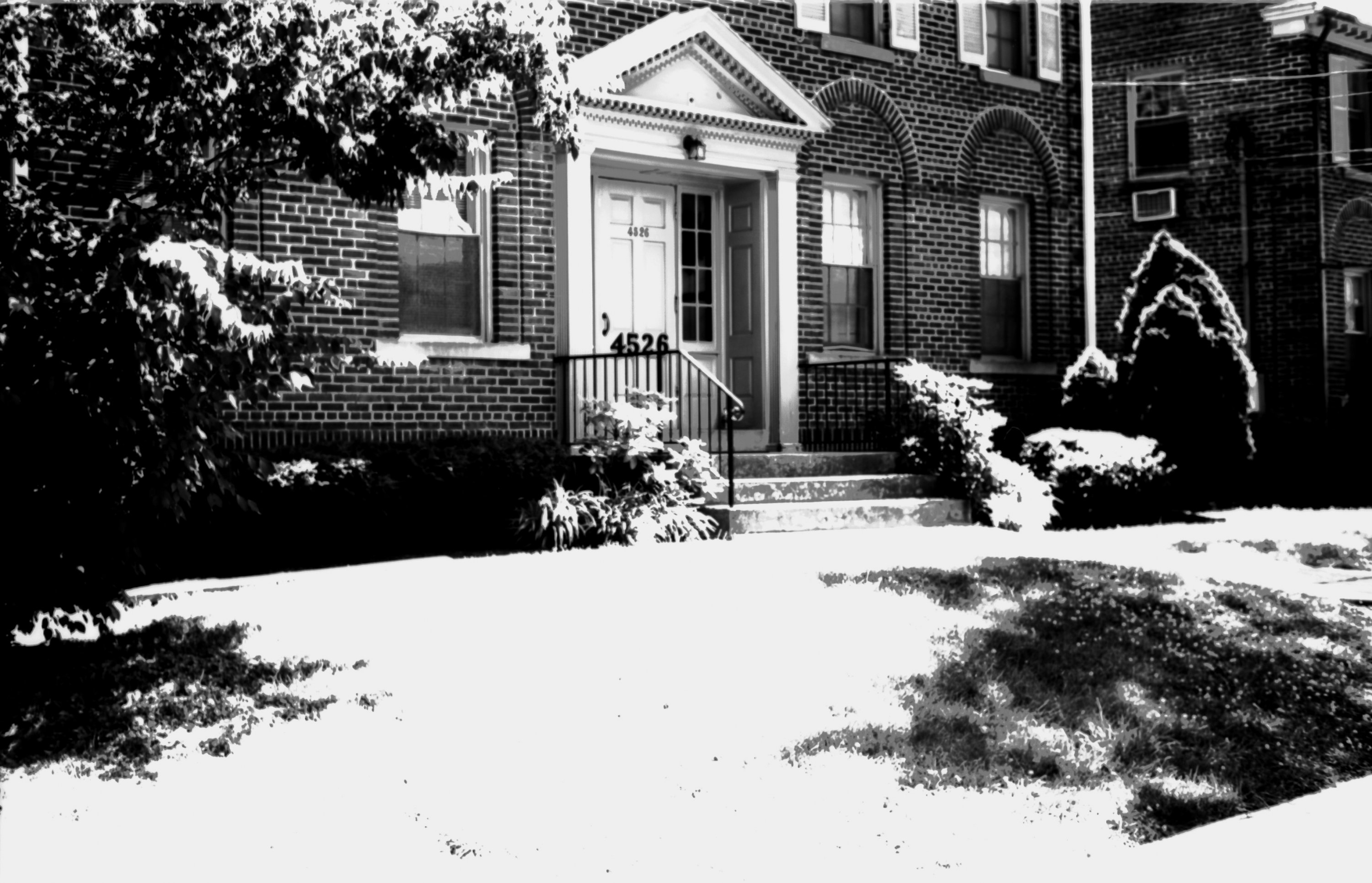 scan0656 (2).jpg