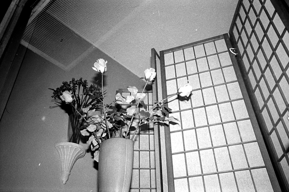 scan2.jpg