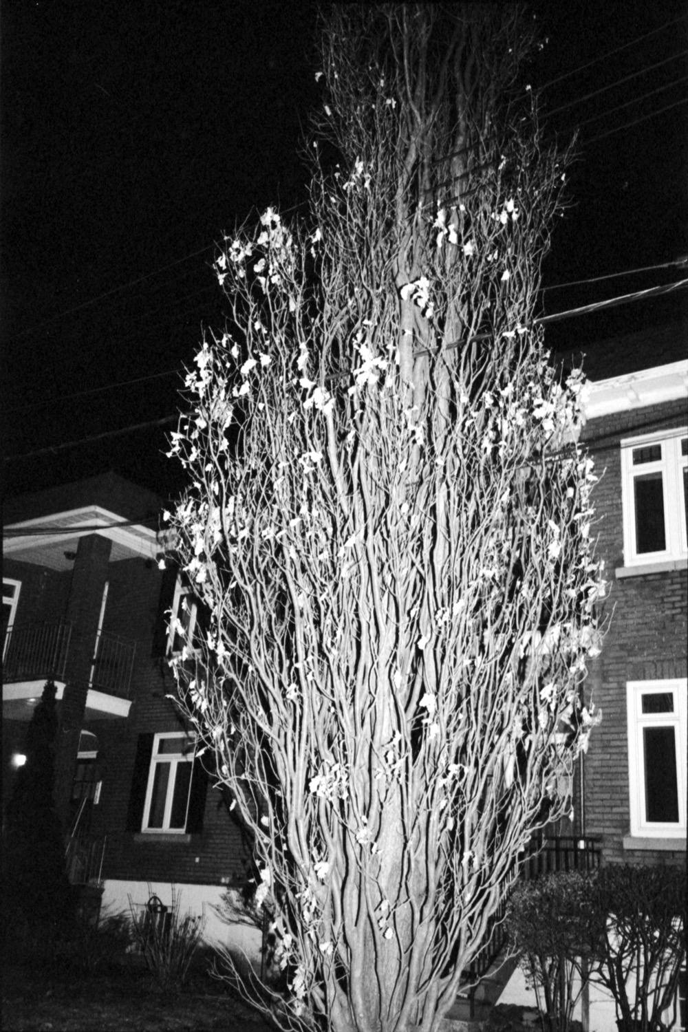 scan3.jpg