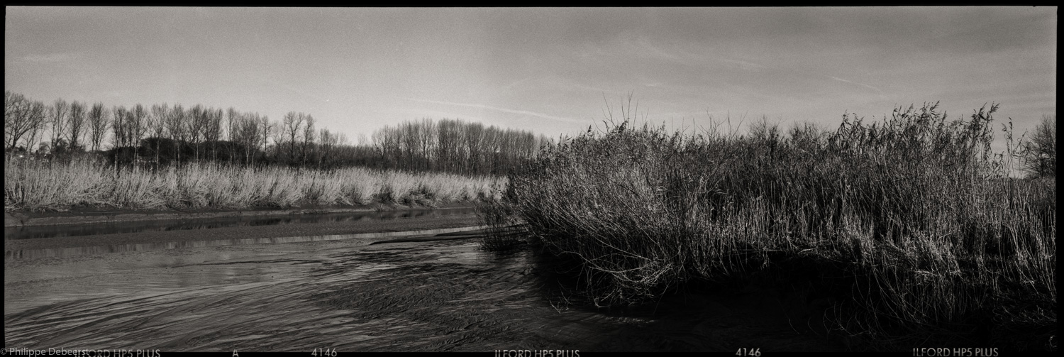 SCHELDE 02.JPG
