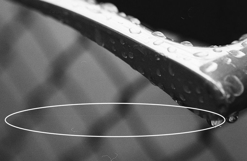 scratchNikonF80.jpg
