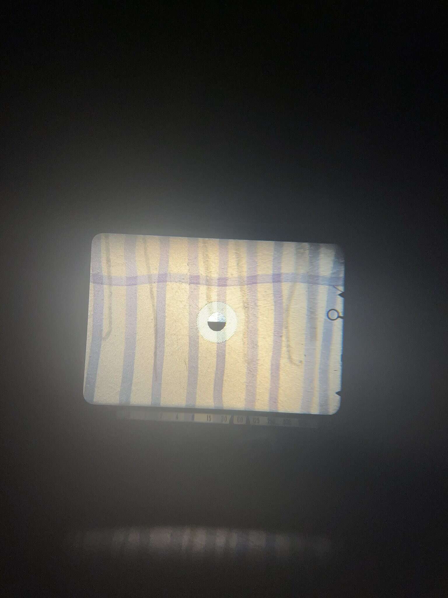 screen.jpg