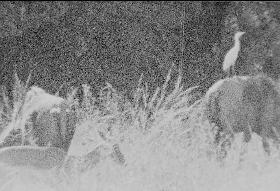 Screen Shot 2017-03-14 at 10.31.46 PM.png