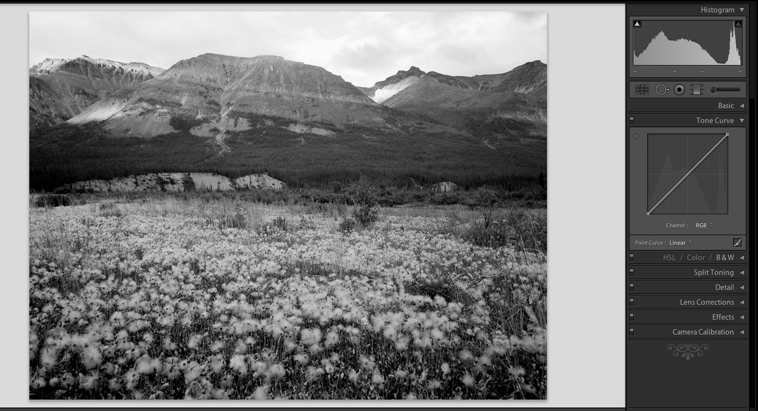 Screen Shot 2017-10-05 at 8.30.17 PM.png