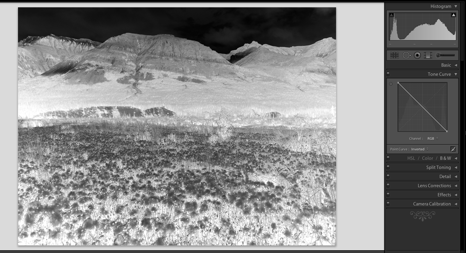 Screen Shot 2017-10-05 at 8.31.03 PM.png