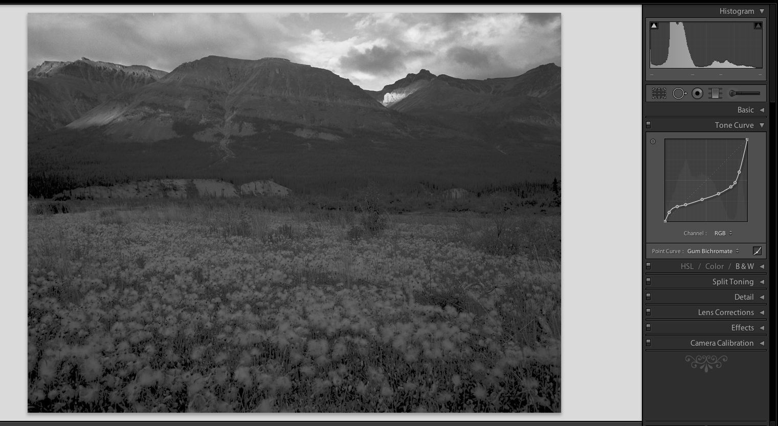 Screen Shot 2017-10-05 at 8.31.36 PM.png