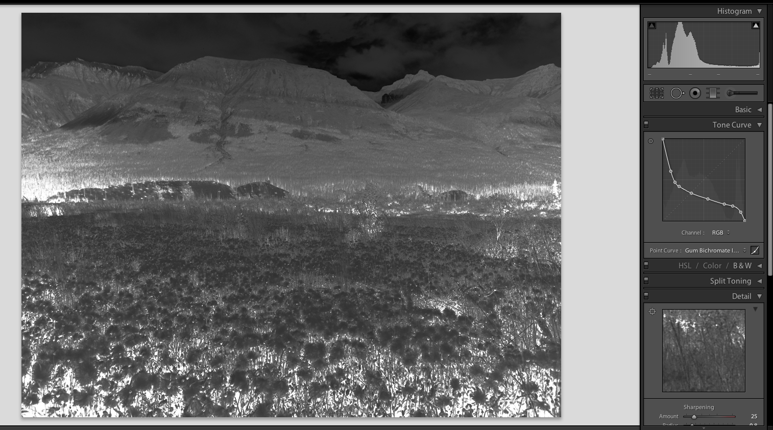 Screen Shot 2017-10-06 at 11.15.12 PM.png