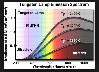 Screen Shot 2018-09-21 at 5.59.10 PM.png