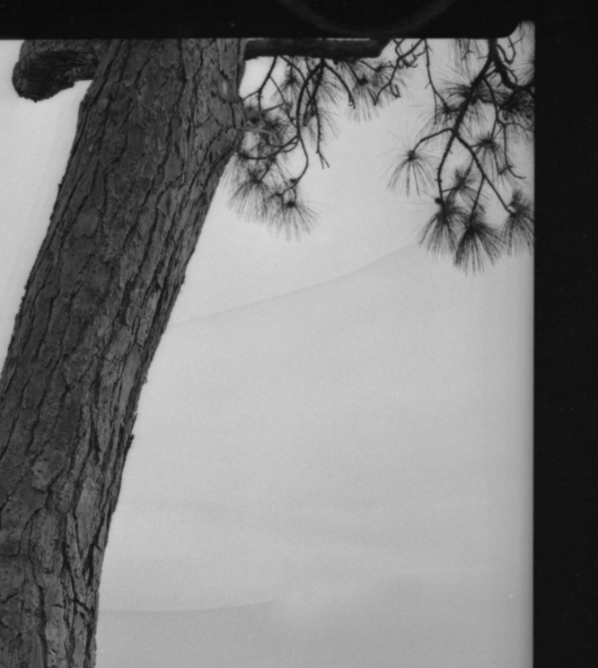 Screen Shot 2020-05-25 at 4.12.12 PM.png