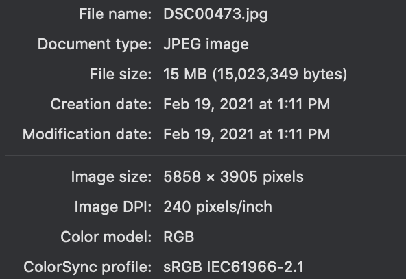 Screen Shot 2021-02-27 at 5.23.10 PM.png