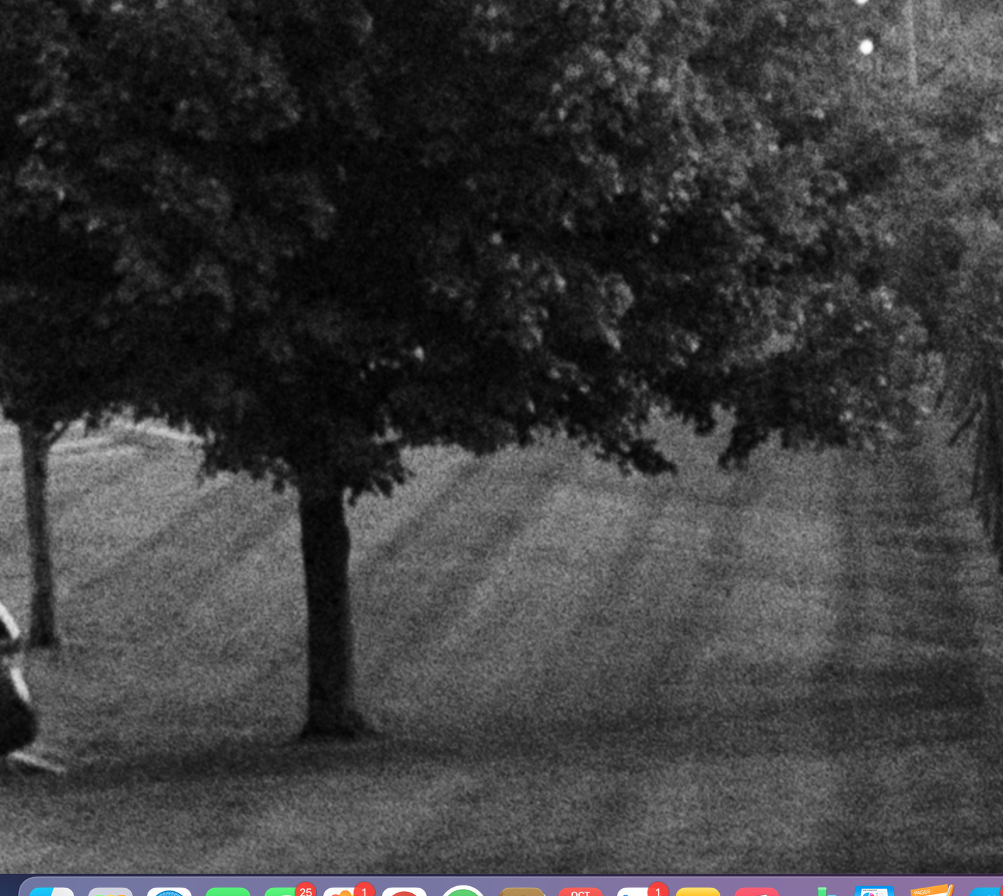 Screen Shot 2021-10-01 at 3.45.00 PM.png