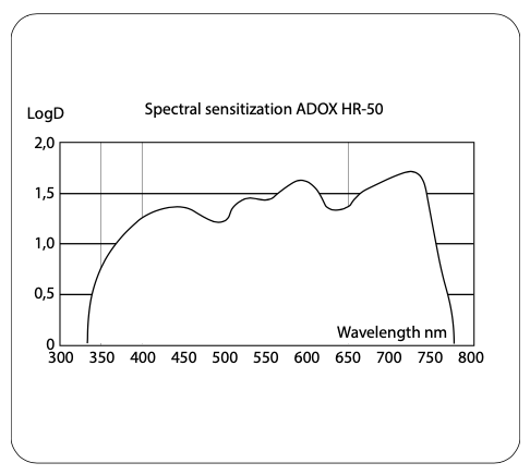 Screen Shot 2023-01-04 at 6.03.25 PM.png