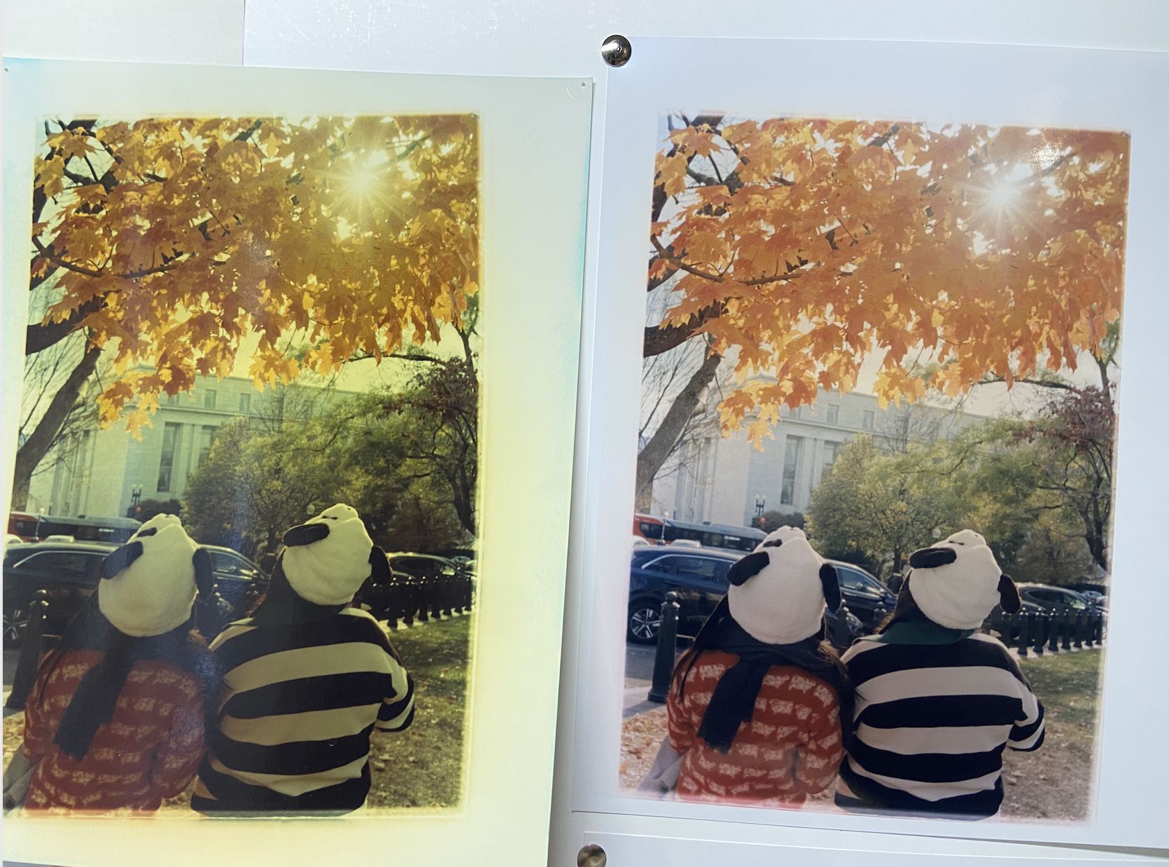 Screen Shot 2024-02-09 at 3.09.10 PM.jpg