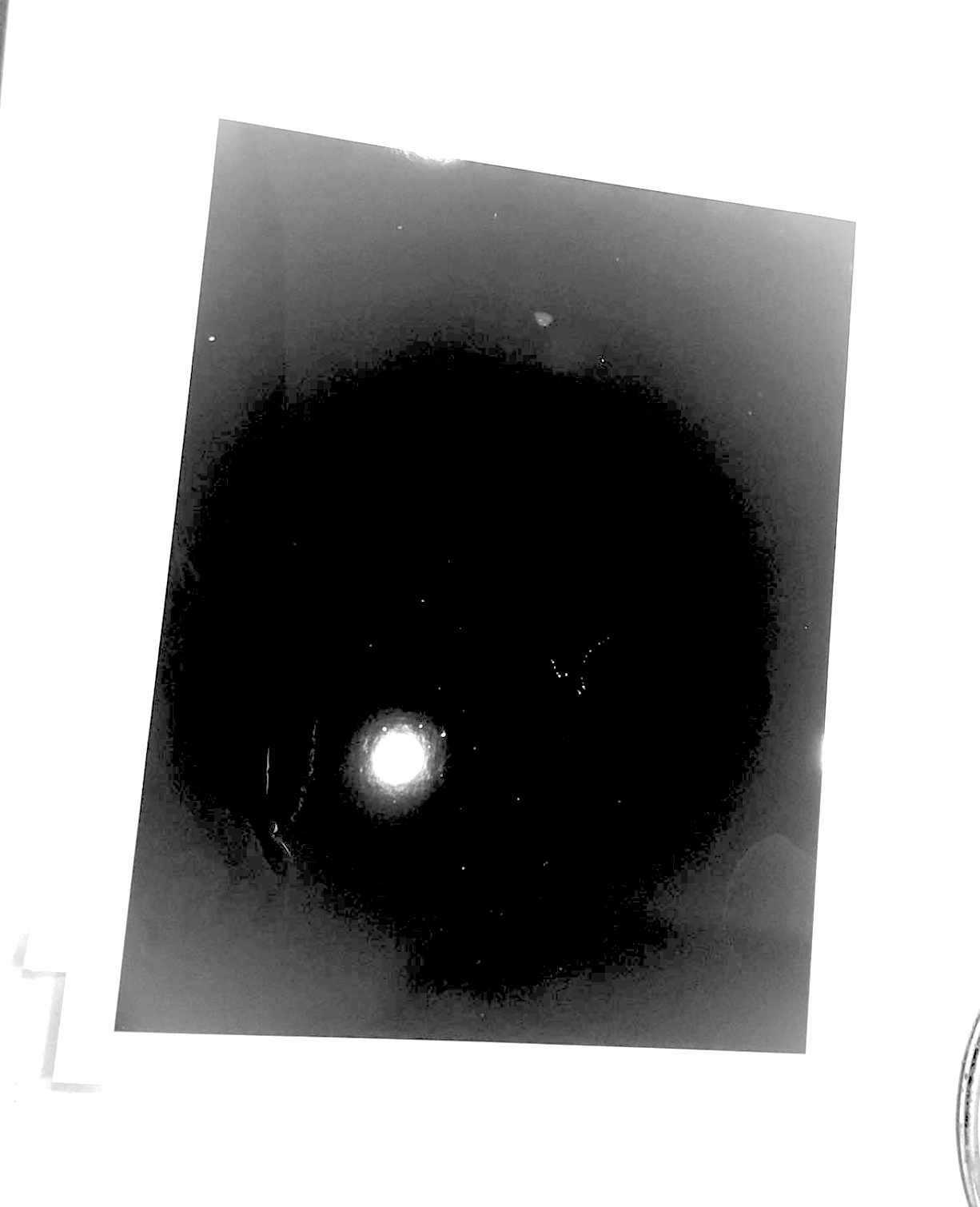 Screen Shot 2024-06-04 at 6.12.48 AM.png