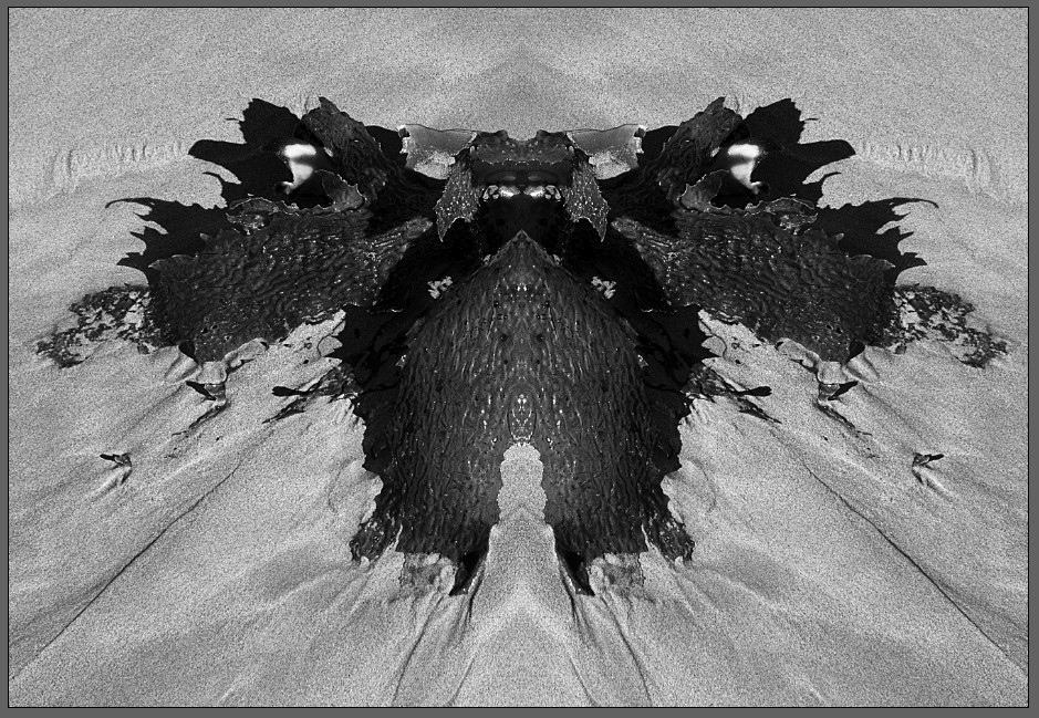 Screenshot 2023-09-28 145825.jpg