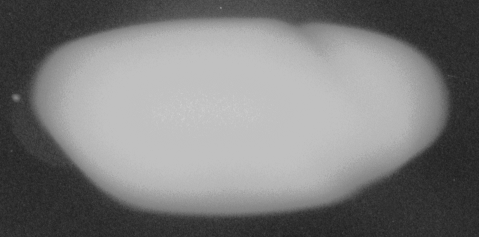 Screenshot 2024-11-24 161454.png