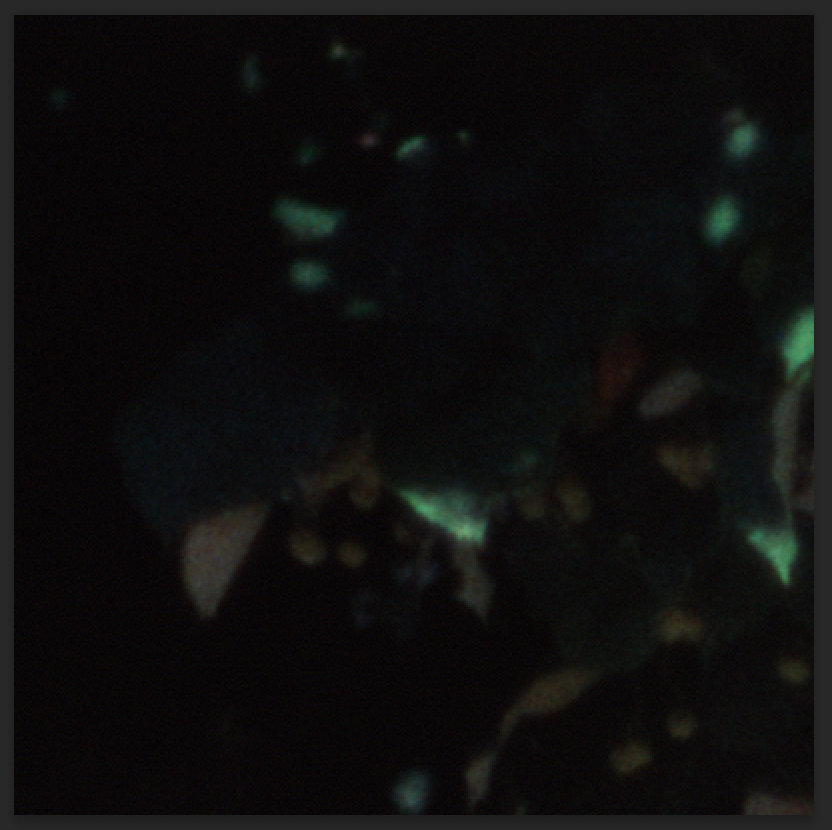 Screenshot 2025-01-24 at 18.05.51.png