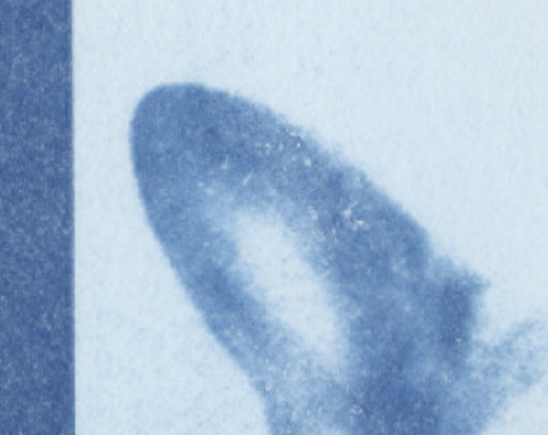 Screenshot 2025-11-10 at 9.45.07 AM.png