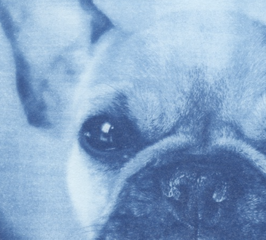 Screenshot 2025-11-11 at 8.56.17 AM.png