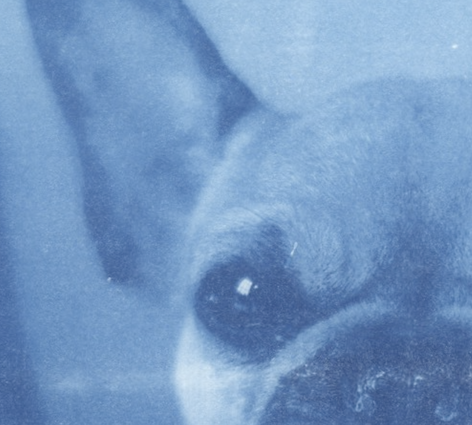 Screenshot 2025-11-11 at 8.57.01 AM.png