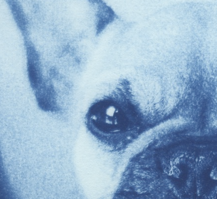 Screenshot 2025-11-11 at 9.00.11 AM.png