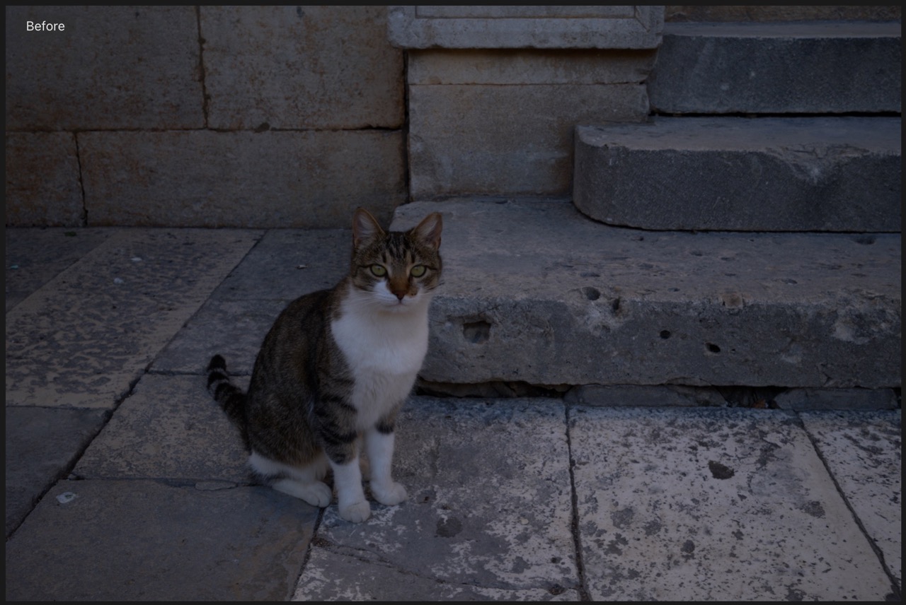 Screenshot 2025-12-21 at 6.46.23 PM Large.jpeg