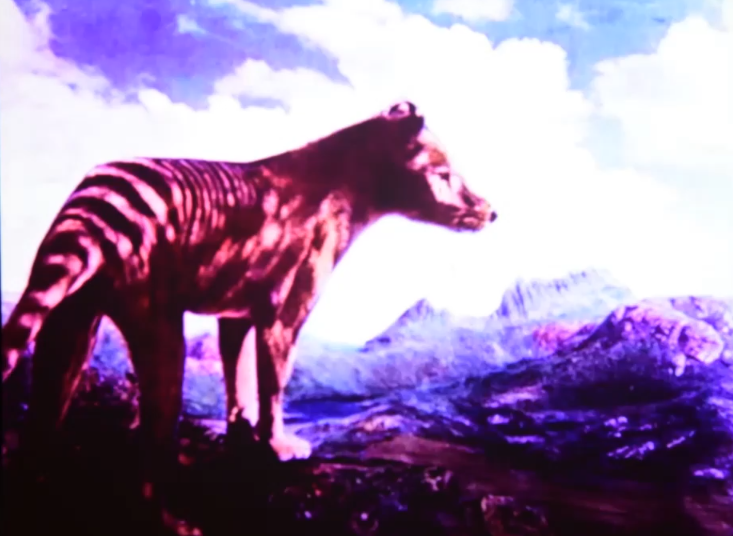 Screenshot 2026-04-21 094044.png