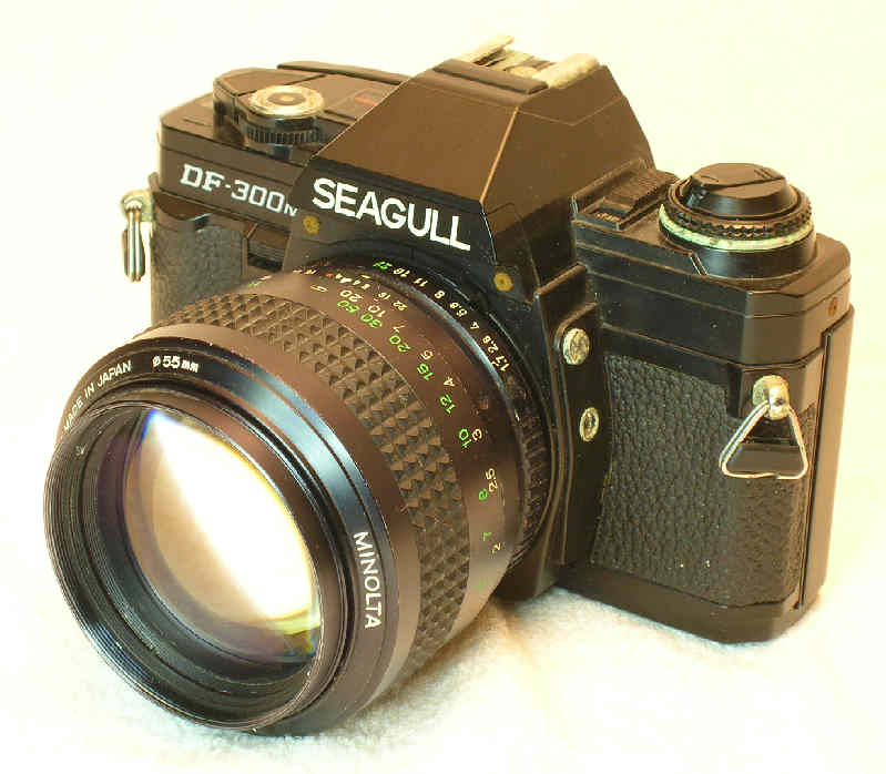 seagulldf300m85.jpg