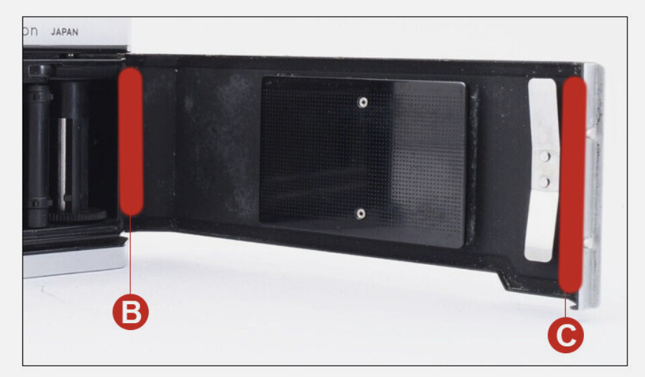 seal photo Nikkormat.png