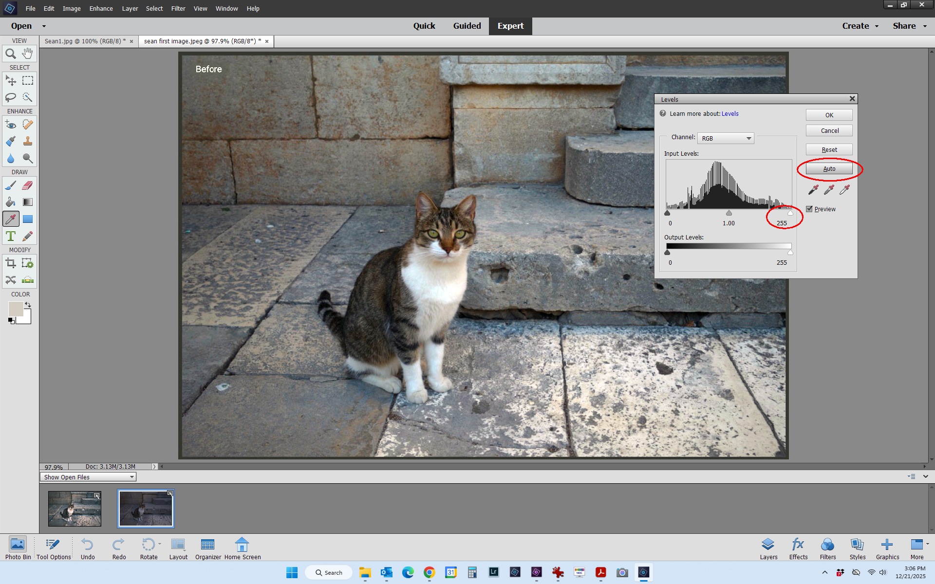 sean first image auto levels adjusted.jpg