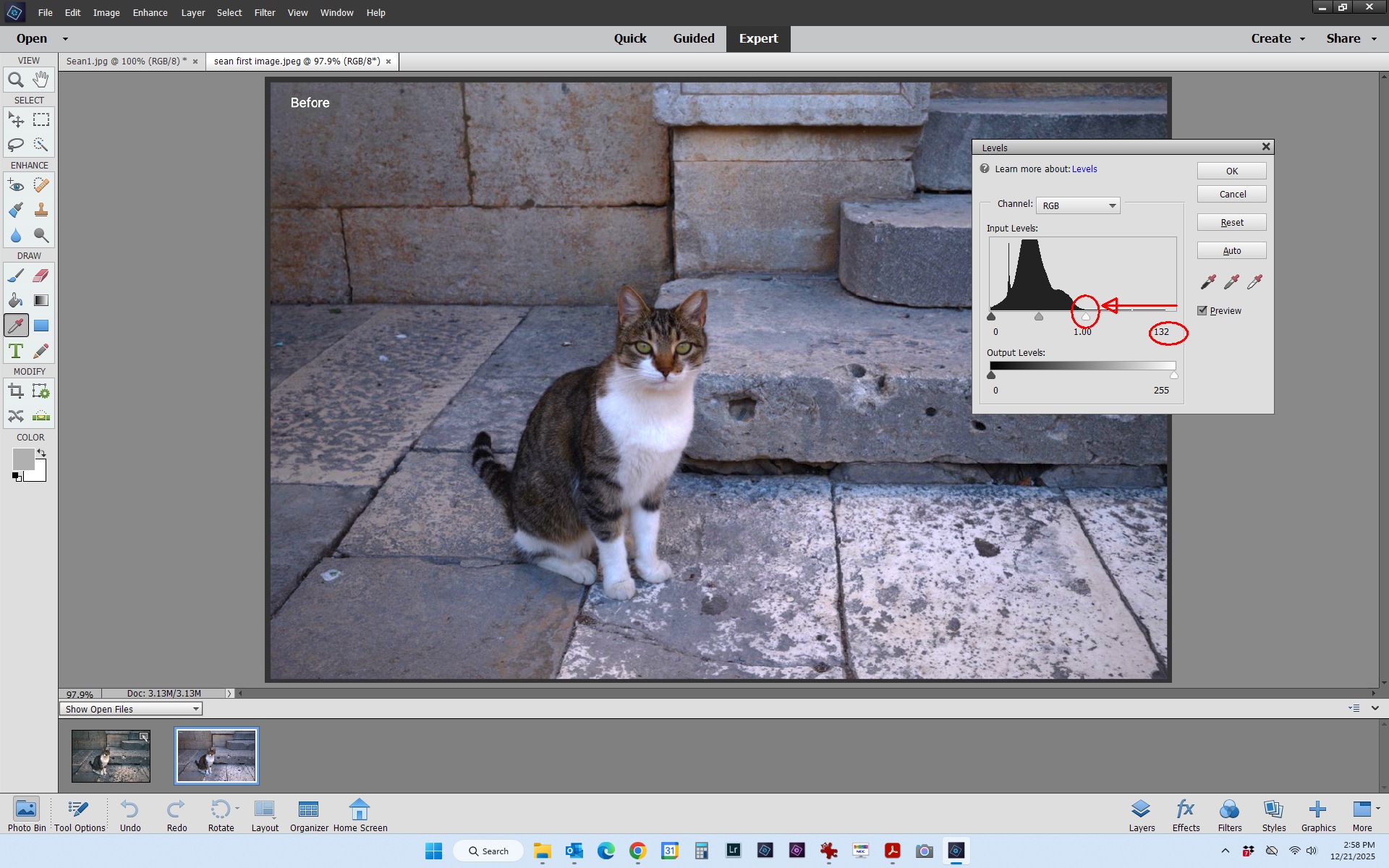 sean first image levels adjusted.jpg
