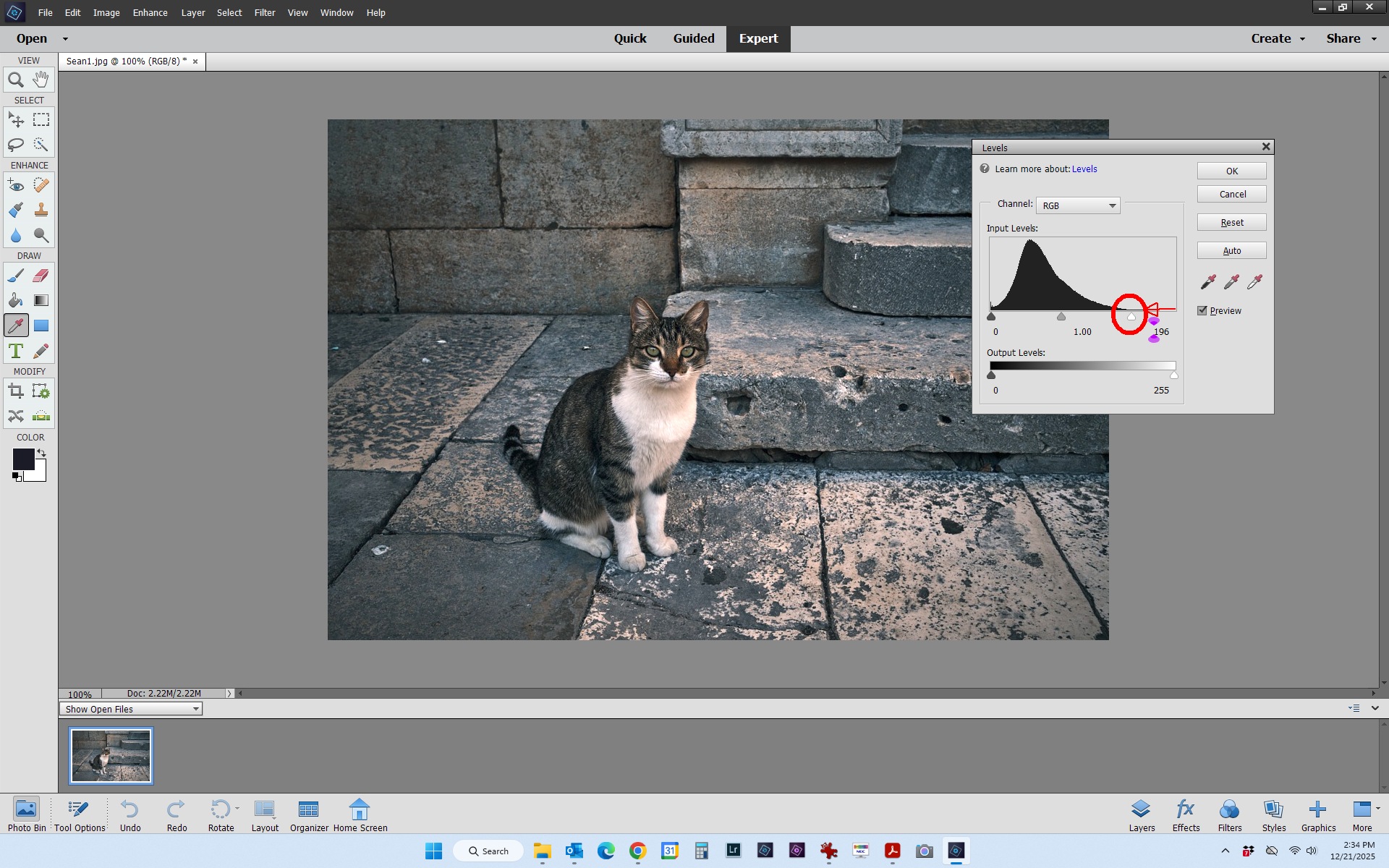 Sean1 move white point level.jpg