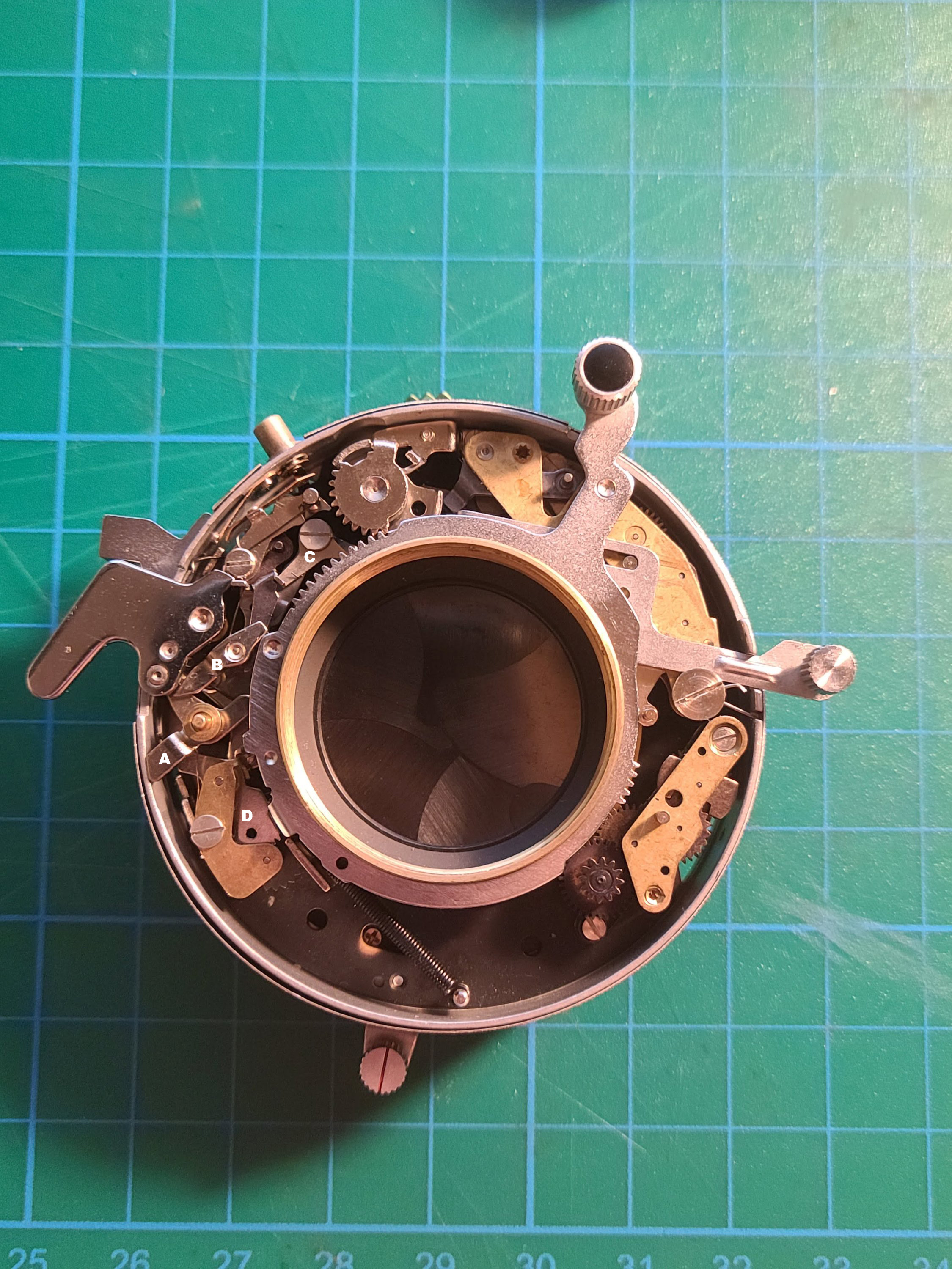 Seiko 0 No Cam Ring.jpg