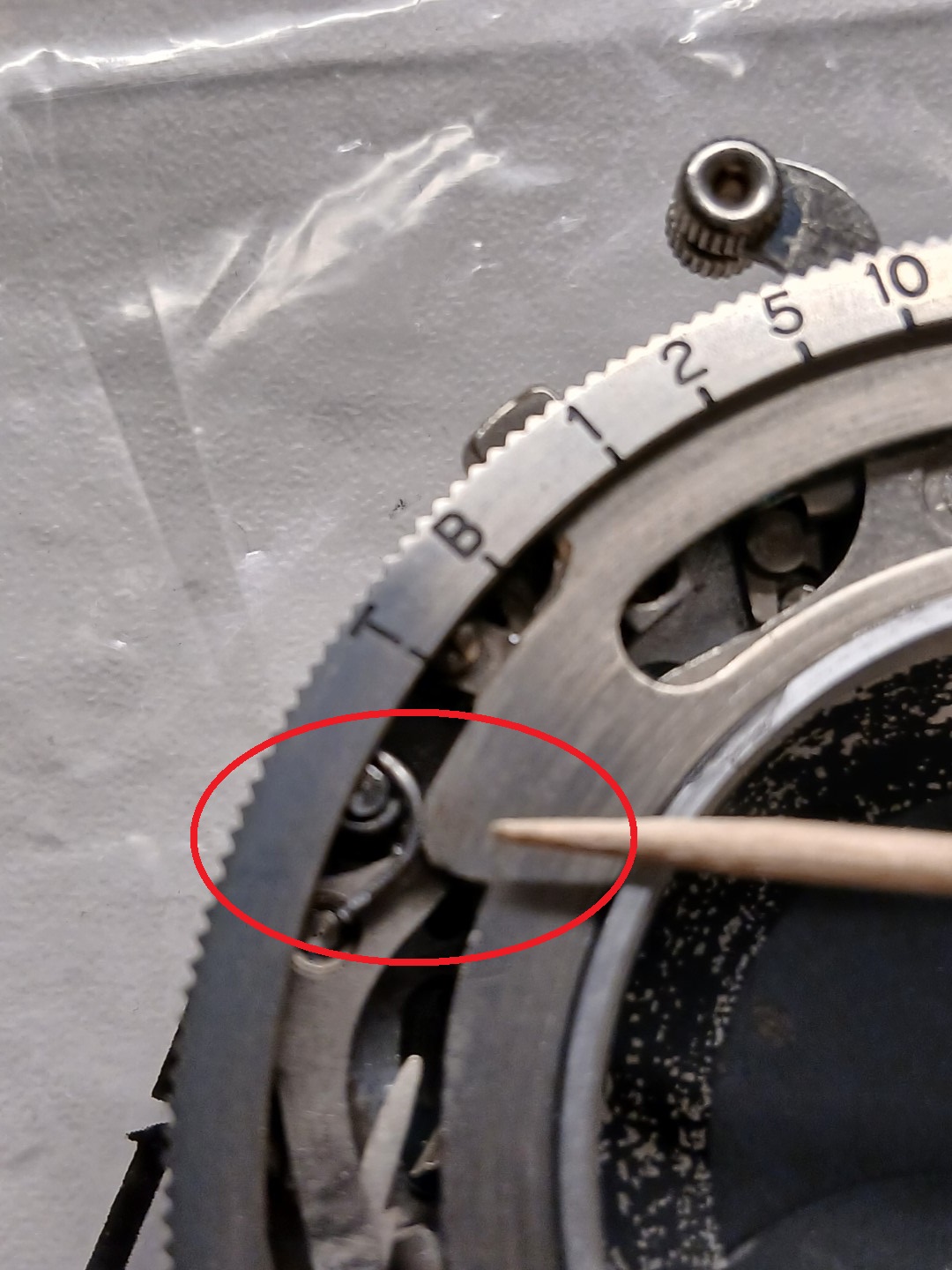 selector engagement.jpg