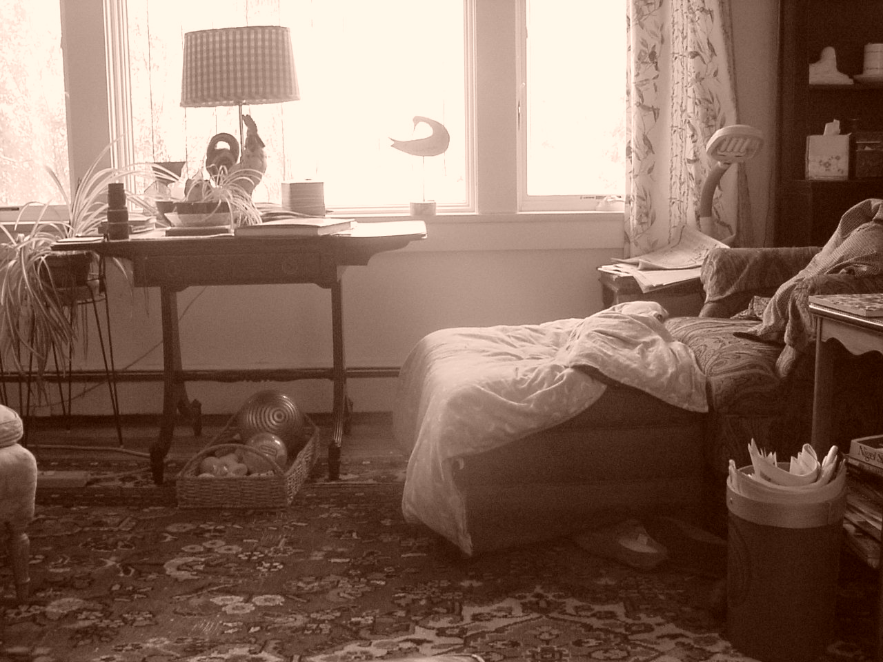 Sepia on Mavica.JPG