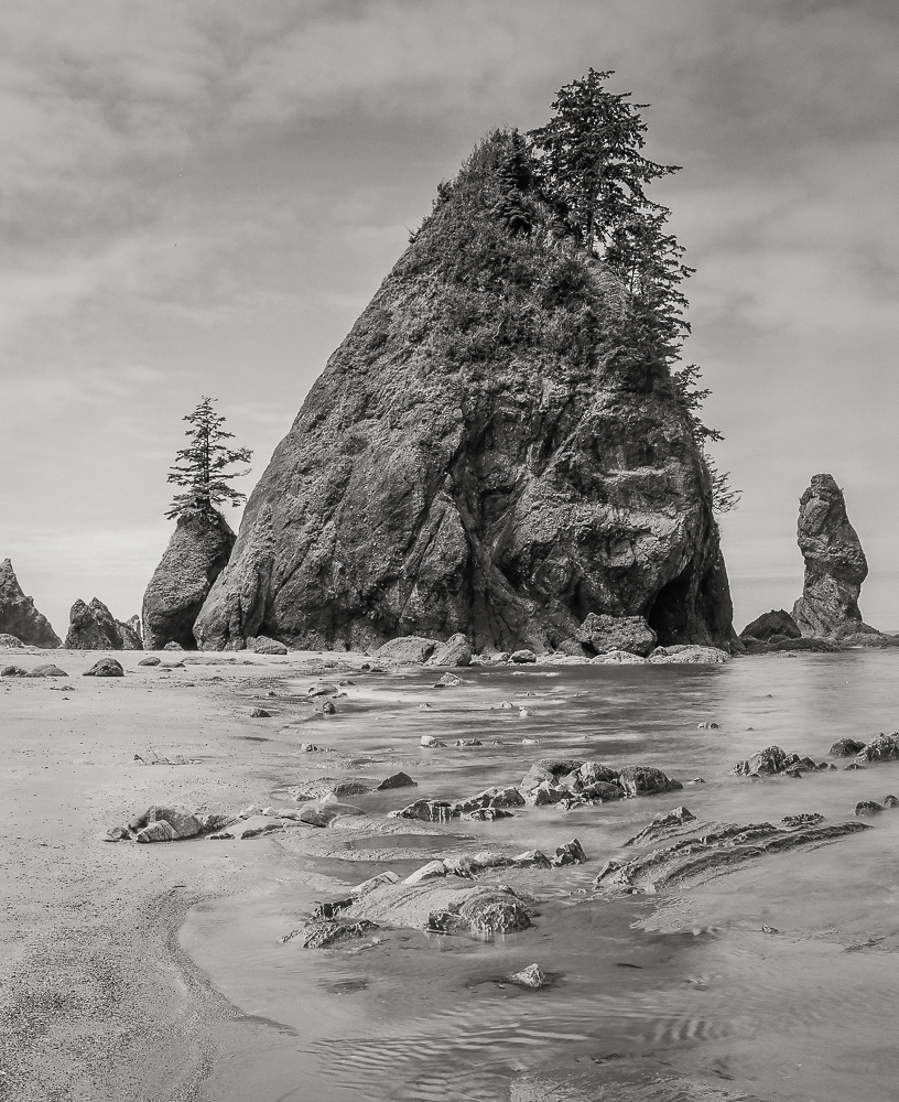 Shi Shi Beach 11.jpg