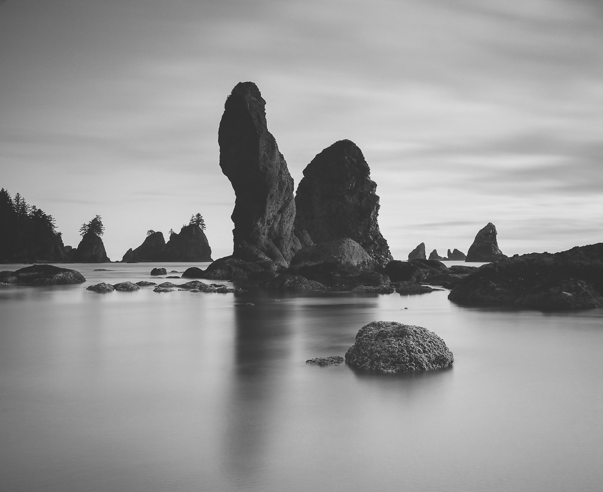 Shi Shi Beach 6.jpg