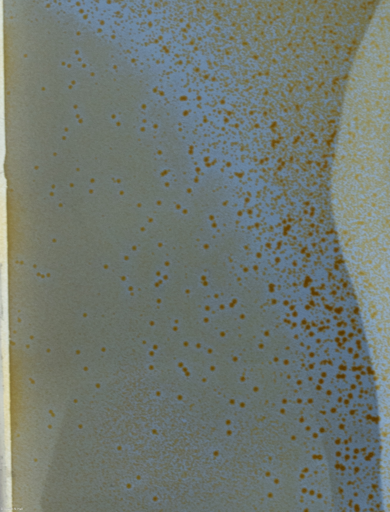 SI_P_0001_001_20231122_201922.jpg