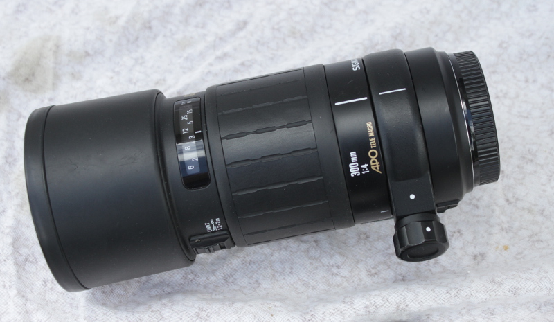 Sigma_300_2_IMG_3090.JPG