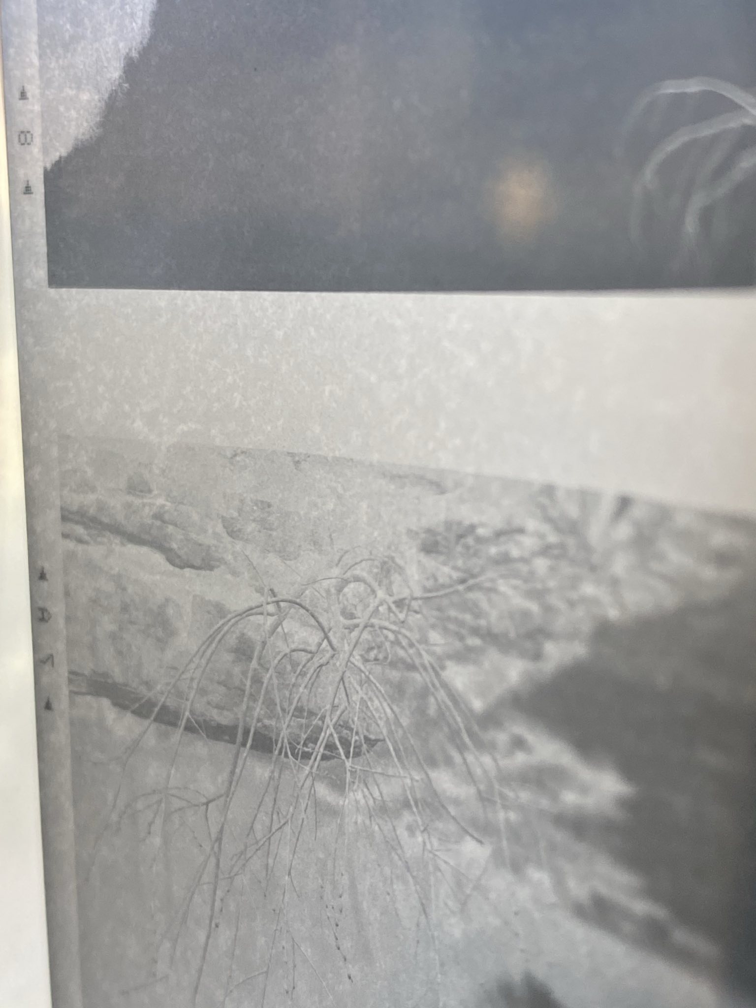 signal-2025-03-21-162758_002.jpeg