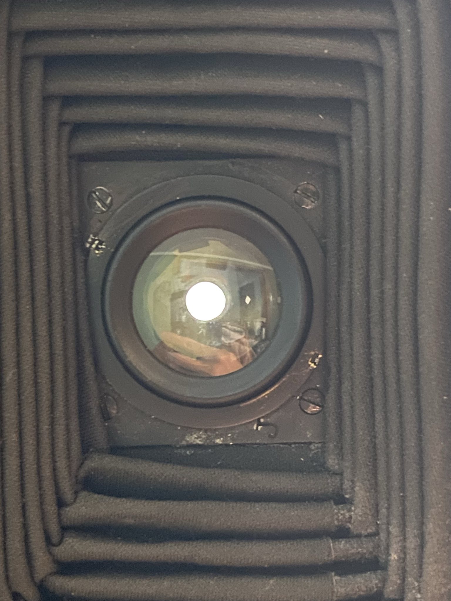 signal-2025-04-16-143205_005.jpeg