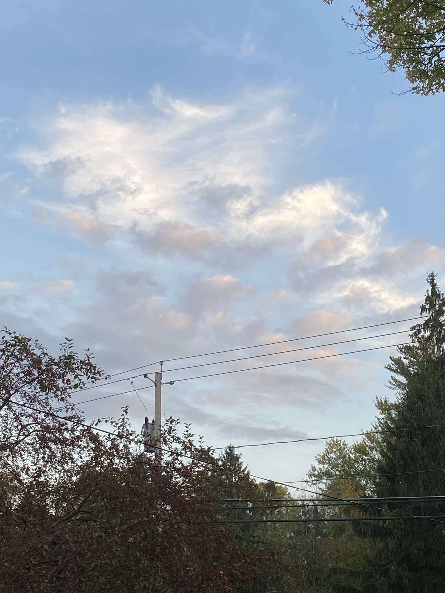 signal-2025-10-14-181843.jpeg