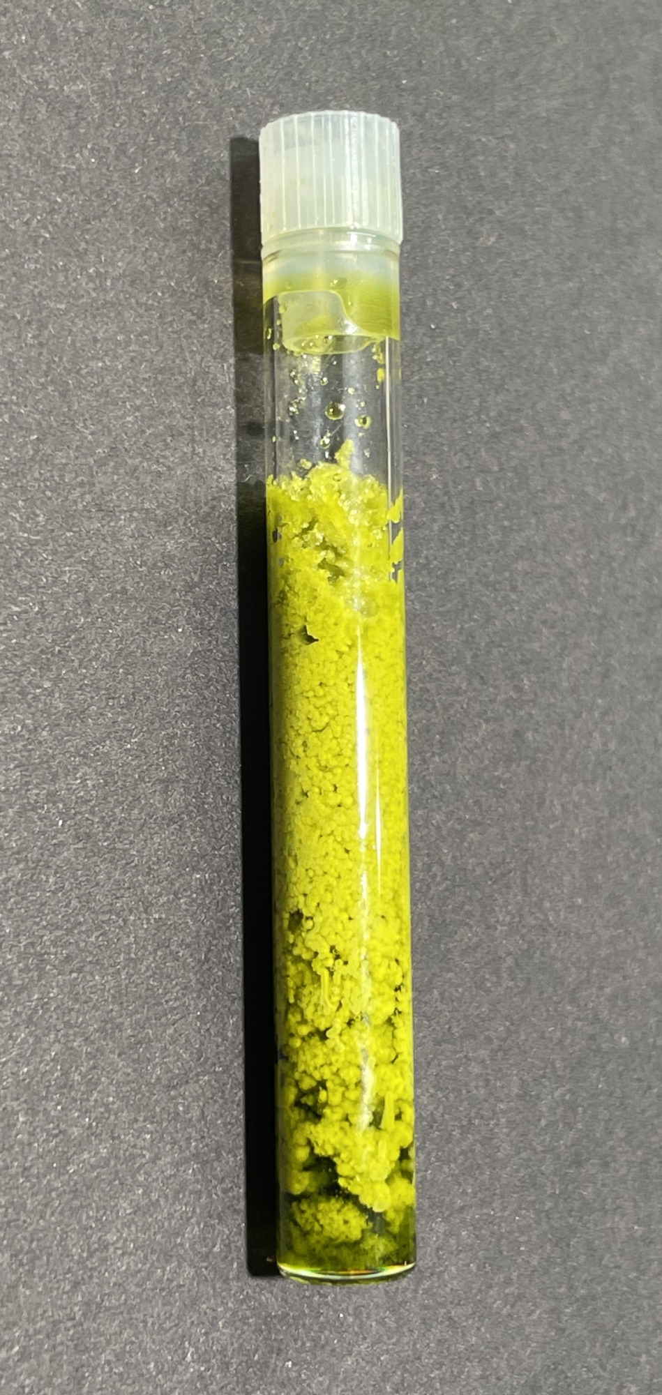 simple fac vial-sm.jpg