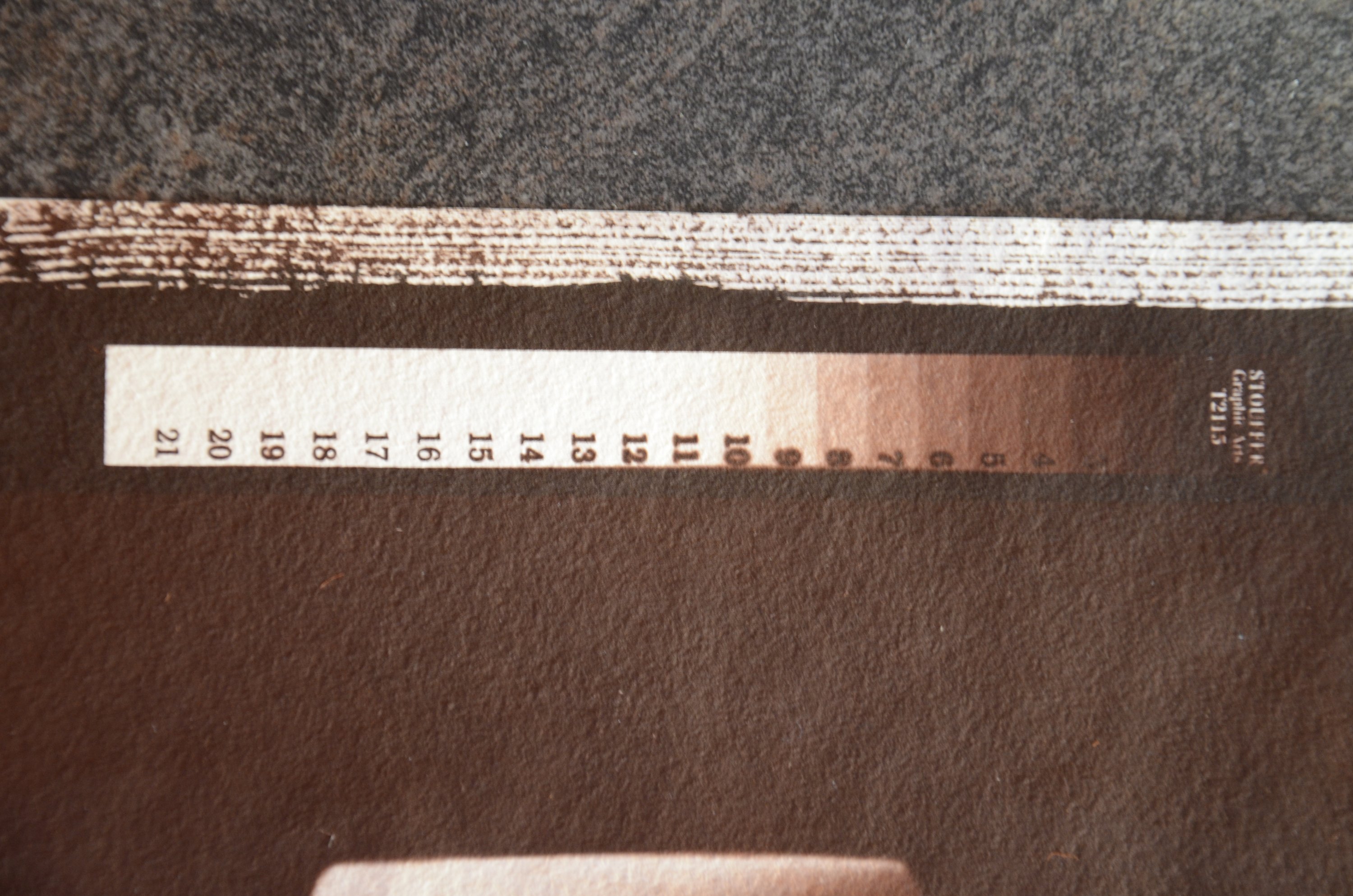 Single coat step wedge.JPG