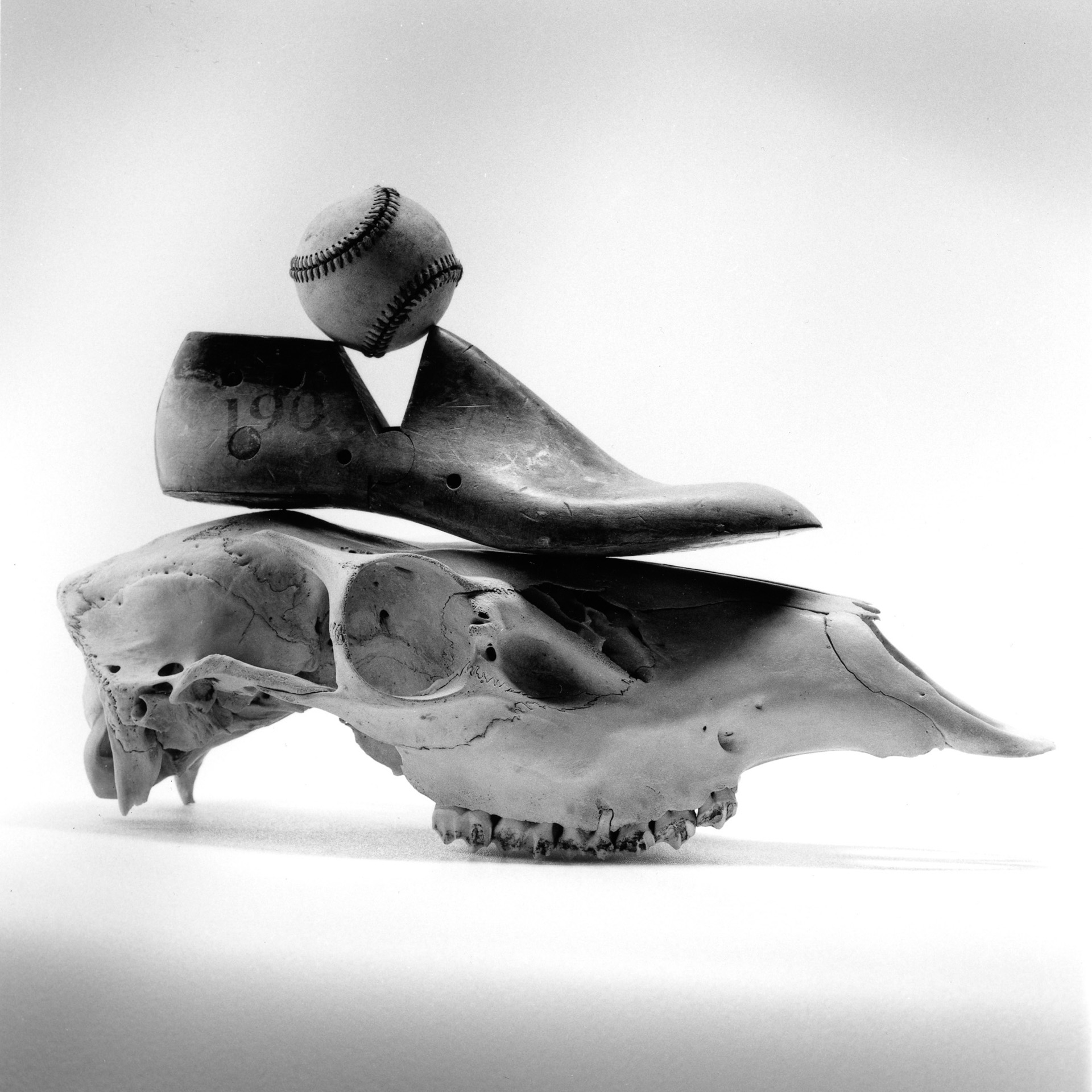 Skull:ShoeForm:Ball011.jpeg