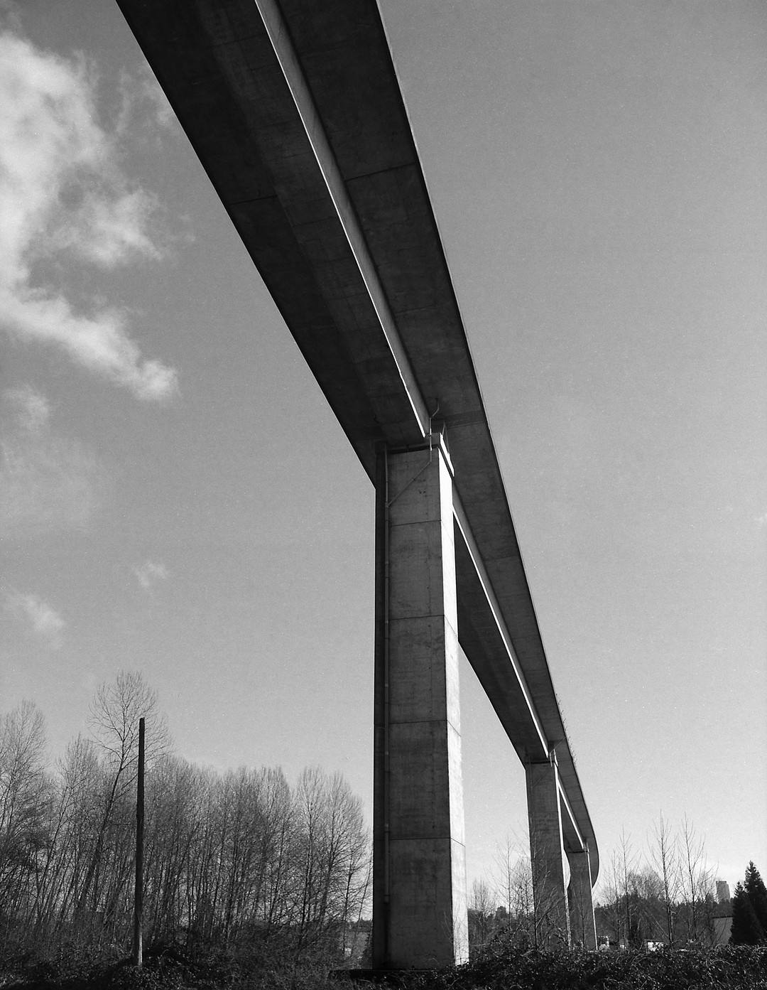Skytrain Topography - 47a-2022-02-21b.jpg