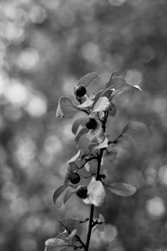 small-00547.jpg