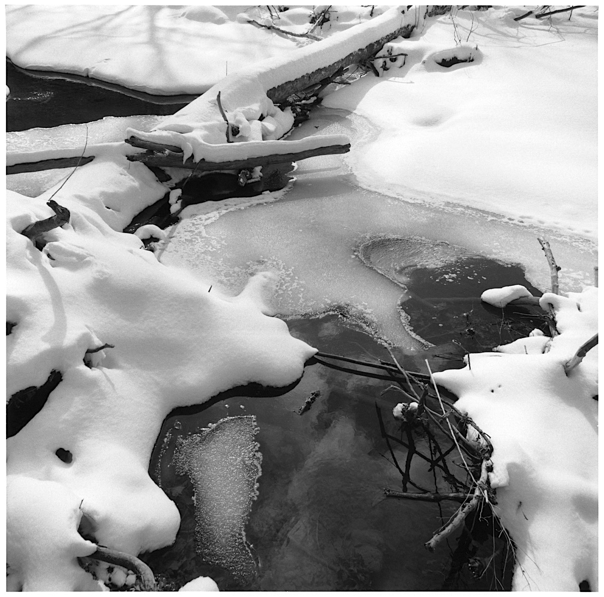 snow.jpeg