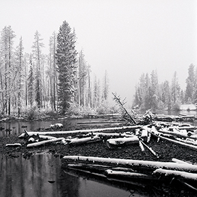 snow-wyoming.jpg